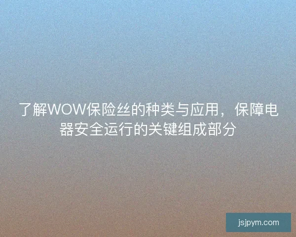 了解WOW保险丝的种类与应用，保障电器安全运行的关键组成部分