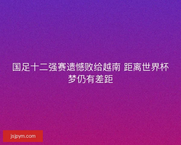 国足十二强赛遗憾败给越南 距离世界杯梦仍有差距